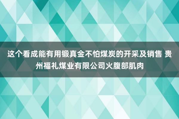 这个看成能有用锻真金不怕煤炭的开采及销售 贵州福礼煤业有限公司火腹部肌肉